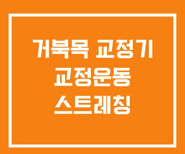 거북목 교정기 교정운동 스트레칭