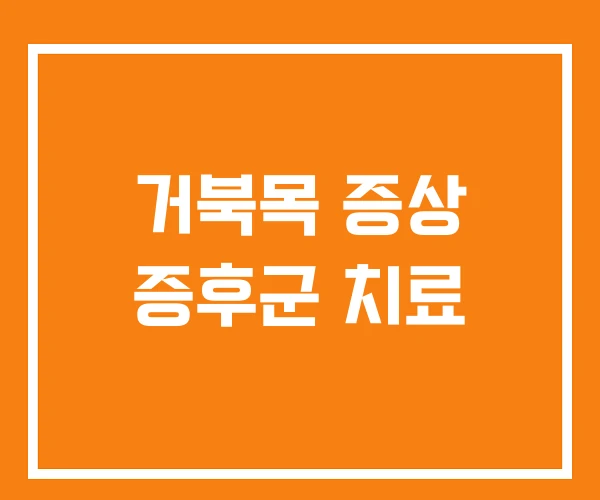 거북목 증상 증후군 치료