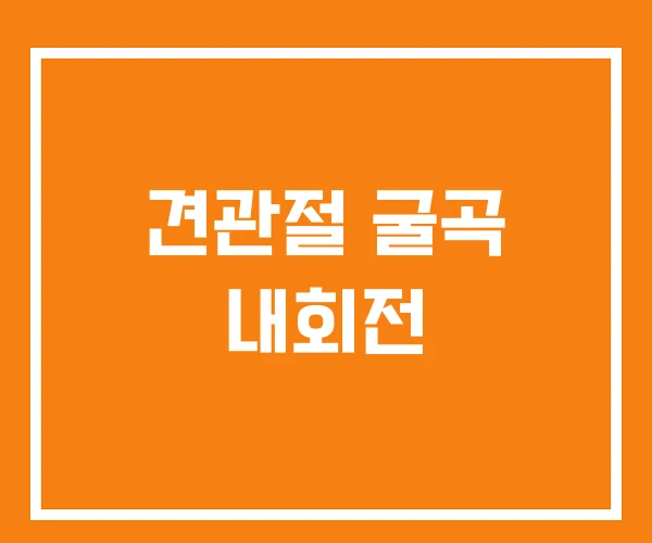 견관절 굴곡 내회전
