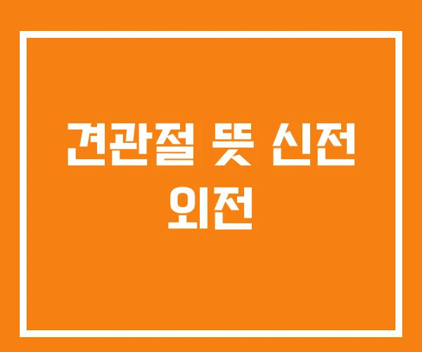 견관절 뜻 신전 외전