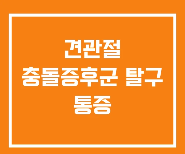 견관절 충돌증후군 탈구 통증