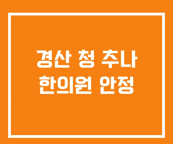 경산 청 추나 한의원 안정