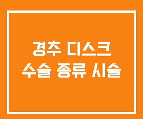 경추 디스크 수술 종류 시술