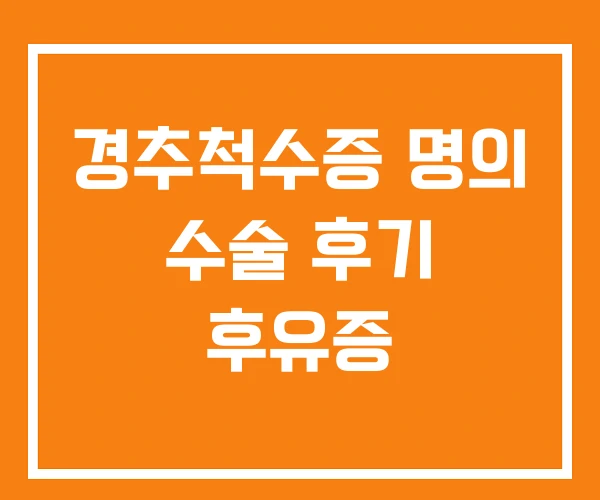 경추척수증 명의 수술 후기 후유증