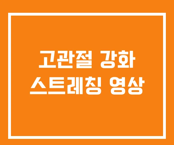 고관절 강화 스트레칭 영상