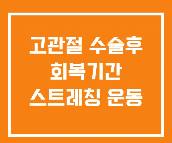 고관절 수술후 회복기간 스트레칭 운동