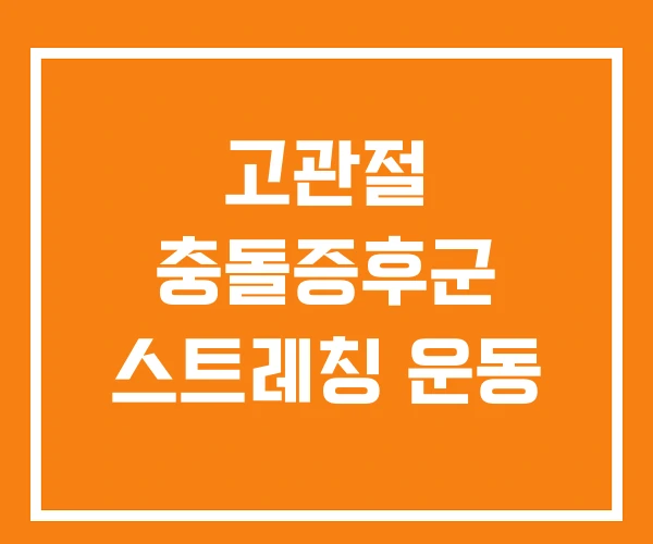 고관절 충돌증후군 스트레칭 운동