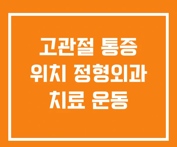 고관절 통증 위치 정형외과 치료 운동