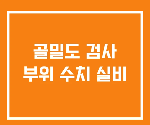 골밀도 검사 부위 수치 실비