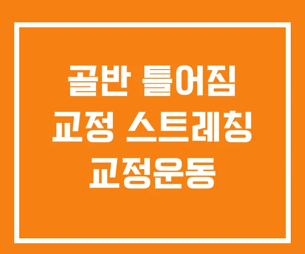 골반 틀어짐 교정 스트레칭 교정운동