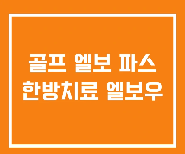 골프 엘보 파스 한방치료 엘보우 골프 엘보 파스 한방치료 엘보우