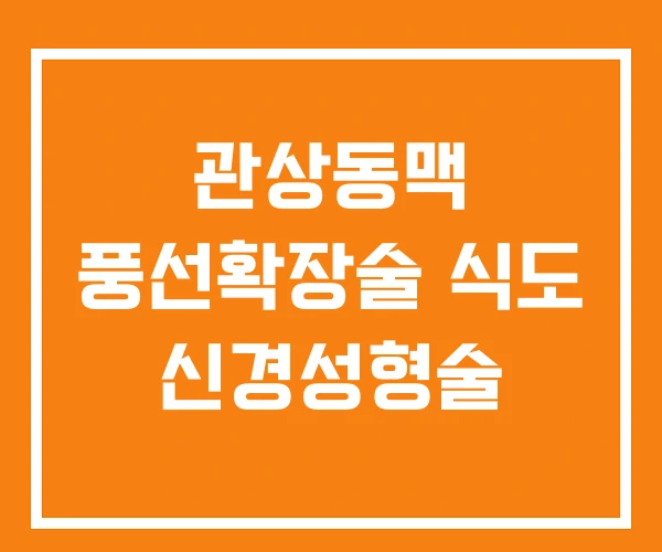 관상동맥 풍선확장술 식도 신경성형술 관상동맥 풍선확장술 식도 신경성형술