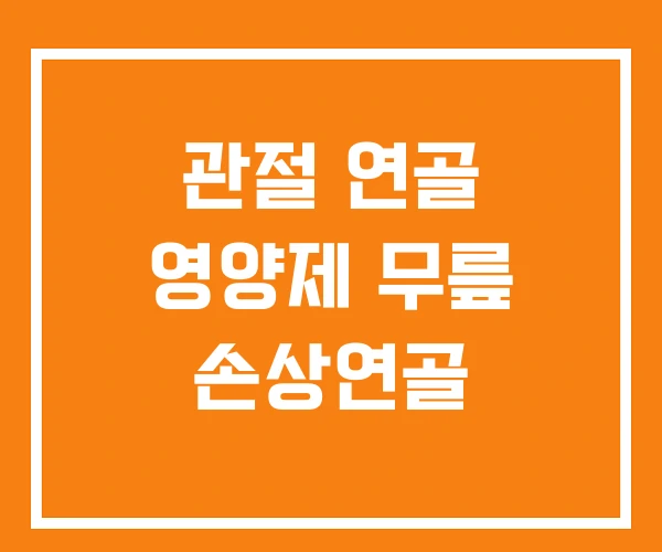 관절 연골 영양제 무릎 손상연골