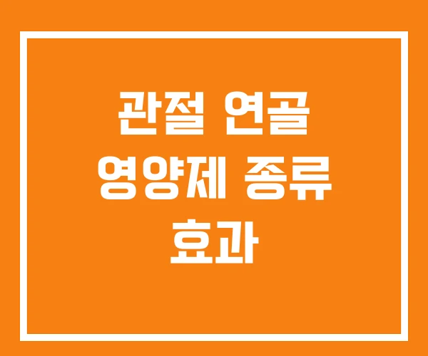 관절 연골 영양제 종류 효과