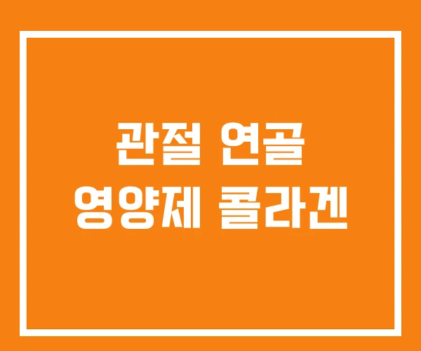 관절 연골 영양제 콜라겐