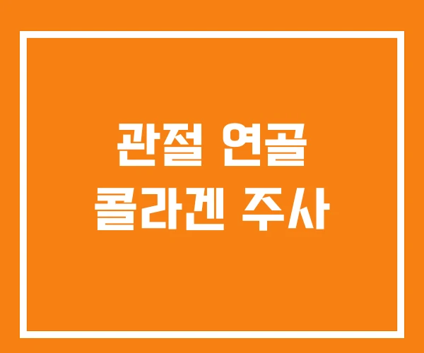 관절 연골 콜라겐 주사