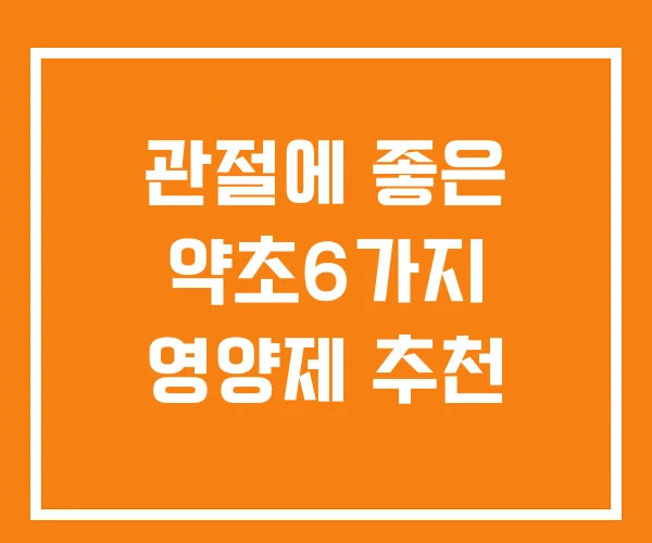 관절에 좋은 약초6가지 영양제 추천