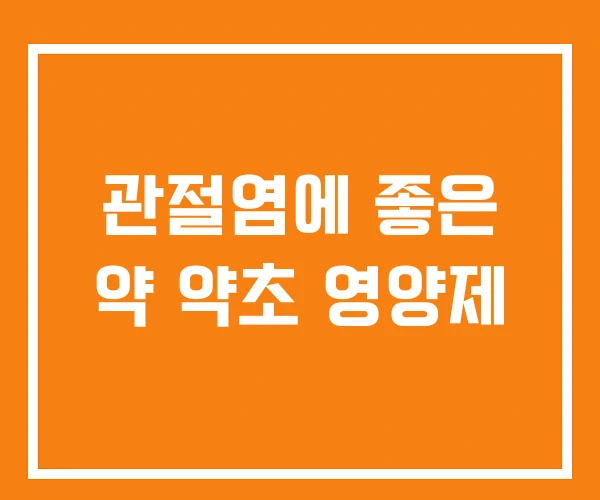 관절염에 좋은 약 약초 영양제 관절염에 좋은 약 약초 영양제
