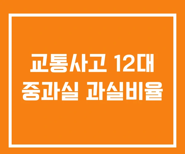 교통사고 12대 중과실 과실비율
