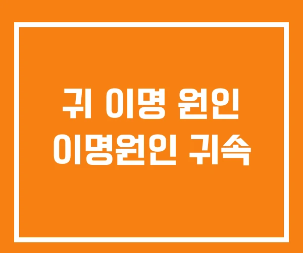귀 이명 원인 이명원인 귀속 귀 이명 원인 이명원인 귀속