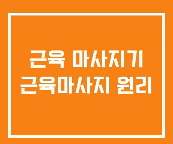 근육 마사지기 근육마사지 원리 근육 마사지기 근육마사지 원리