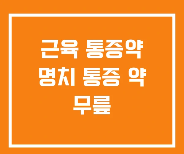 근육 통증약 명치 통증 약 무릎