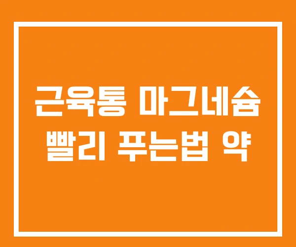 근육통 마그네슘 빨리 푸는법 약 근육통 마그네슘 빨리 푸는법 약