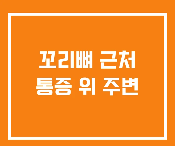 꼬리뼈 근처 통증 위 주변