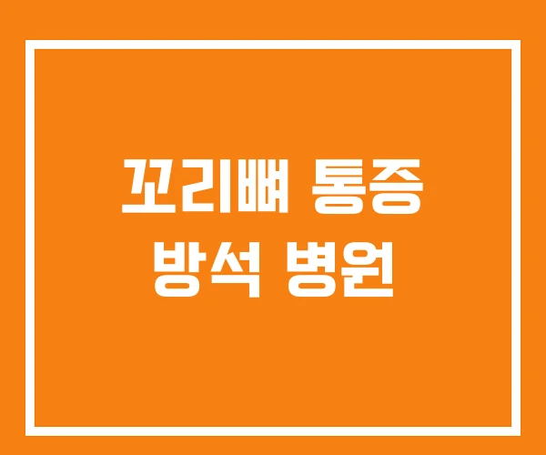 꼬리뼈 통증 방석 병원