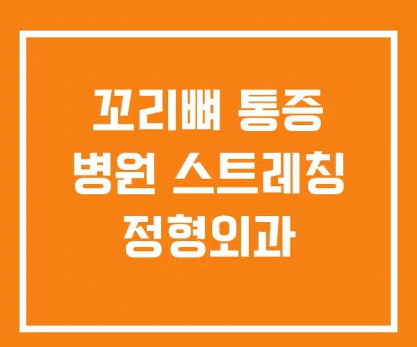 꼬리뼈 통증 병원 스트레칭 정형외과