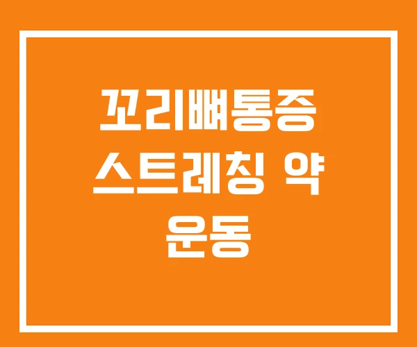 꼬리뼈통증 스트레칭 약 운동