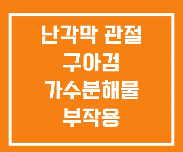난각막 관절 구아검 가수분해물 부작용