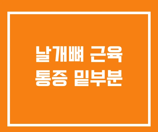 날개뼈 근육 통증 밑부분