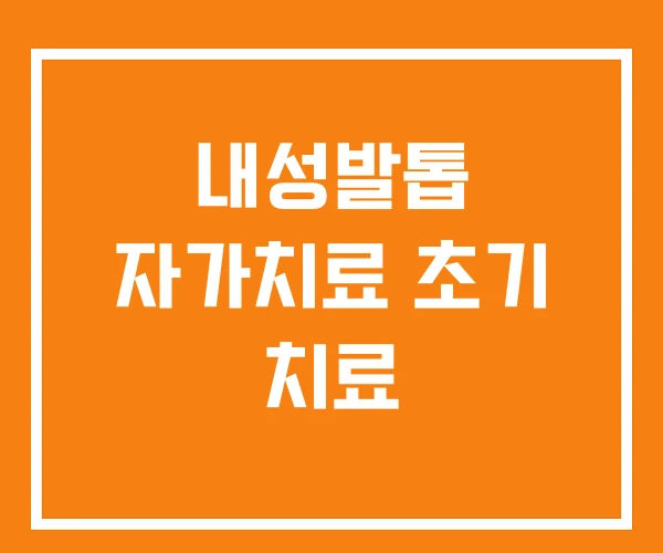 내성발톱 자가치료 초기 치료