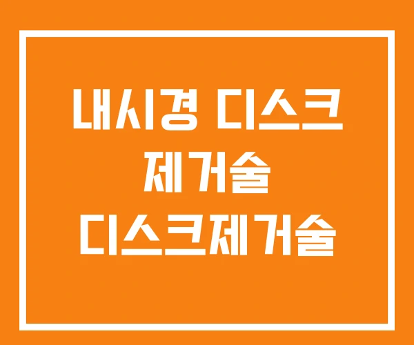 내시경 디스크 제거술 디스크제거술