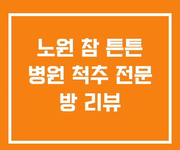 노원 참 튼튼 병원 척추 전문 방 리뷰