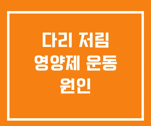 다리 저림 영양제 운동 원인