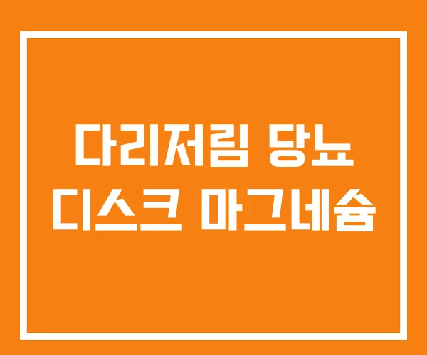 다리저림 당뇨 디스크 마그네슘