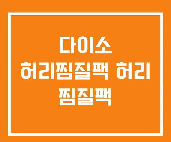 다이소 허리찜질팩 허리 찜질팩