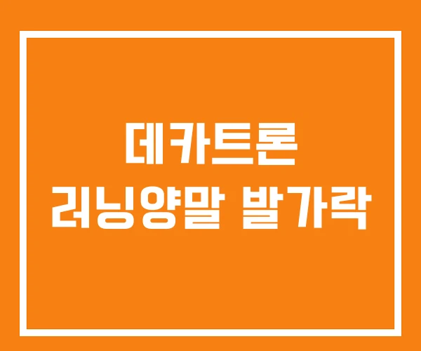 데카트론 러닝양말 발가락