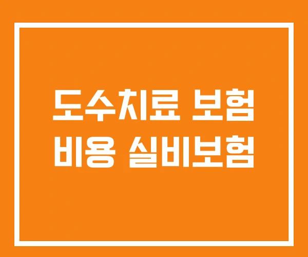 도수치료 보험 비용 실비보험