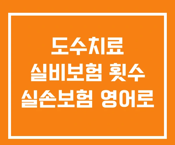 도수치료 실비보험 횟수 실손보험 영어로