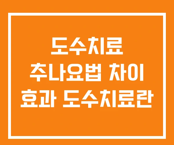 도수치료 추나요법 차이 효과 도수치료란