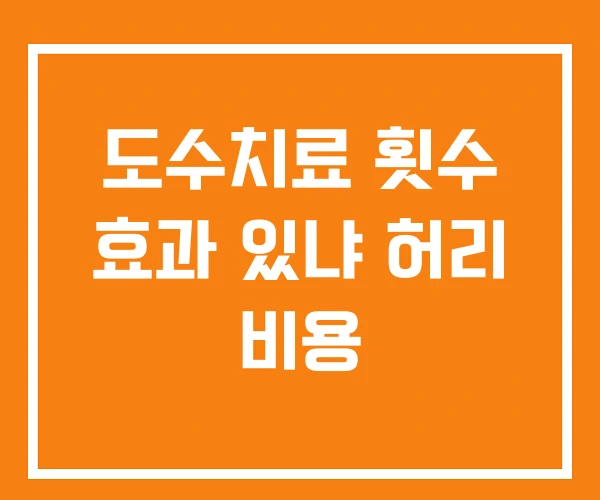 도수치료 횟수 효과 있냐 허리 비용