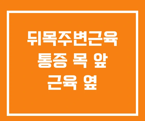 뒤목주변근육 통증 목 앞 근육 옆 뒤목주변근육 통증 목 앞 근육 옆