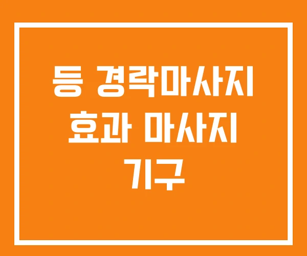 등 경락마사지 효과 마사지 기구