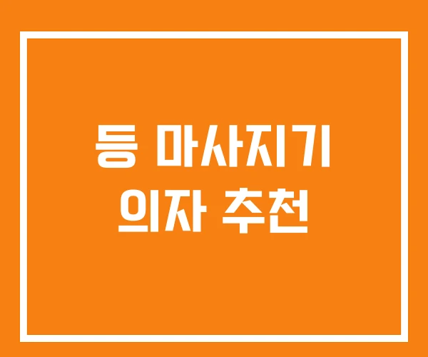 등 마사지기 의자 추천