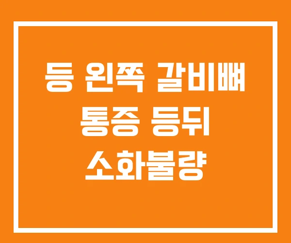 등 왼쪽 갈비뼈 통증 등뒤 소화불량