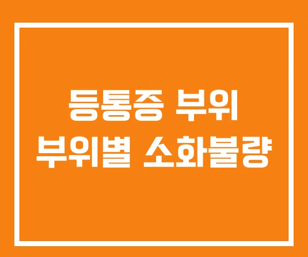 등통증 부위 부위별 소화불량