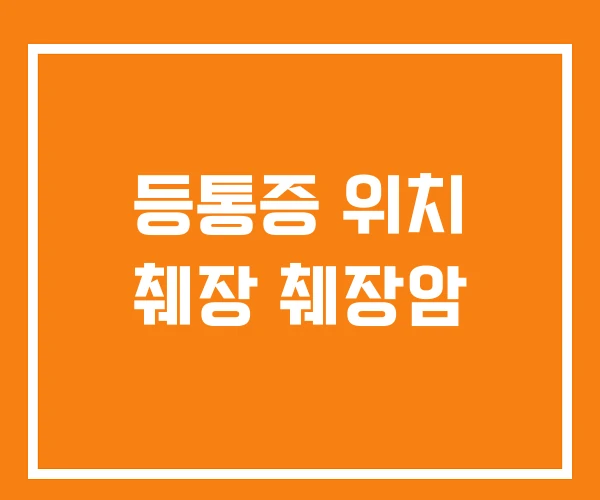 등통증 위치 췌장 췌장암